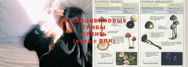 винт Дмитров