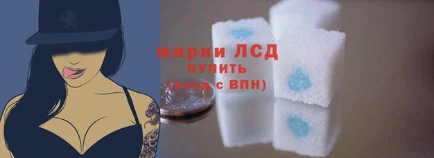 MESCALINE Новозыбков