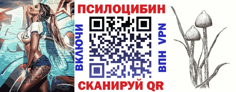 как найти закладки  Лосино-Петровский  blacksprut рабочий сайт  Псилоцибиновые грибы MAGIC MUSHROOMS 