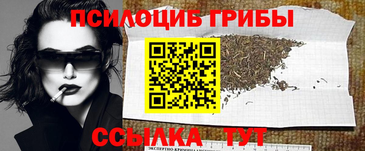 Галлюциногенные грибы Psilocybine cubensis Лосино-Петровский